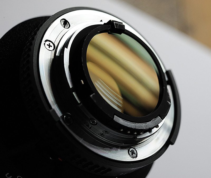 Hinterlinse_einskommavier_AF_85mm_D